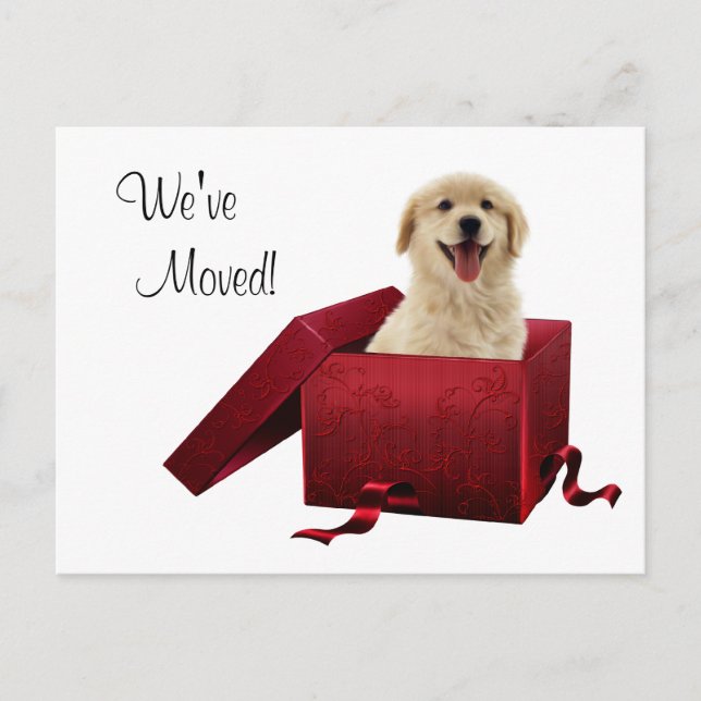 Tarjetas postales de cambio de dirección de cachor (Anverso)