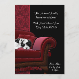Tarjetas postales de cambio de dirección de sofá p