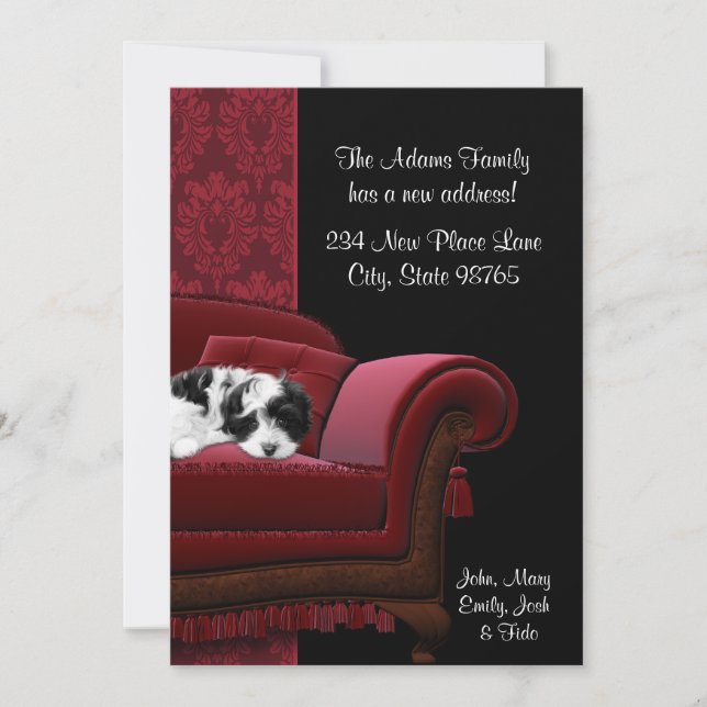 Tarjetas postales de cambio de dirección de sofá p (Anverso)