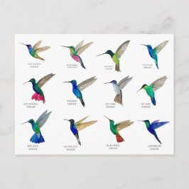 Tarjetas Postales de Colibríes