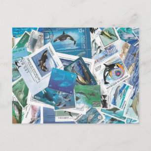 tarjetas postales de delfines sellos
