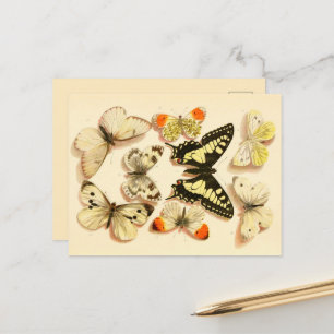 Tarjetas postales de dibujo vintage Mariposas 3