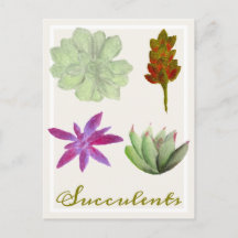 Tarjetas Postales de Dibujos a Lápiz de Colores de