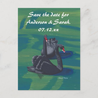 Tarjetas Postales de Dos Cisnes Negros Nadando Gua