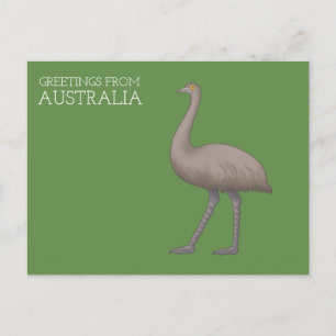Tarjetas postales de emú australiano