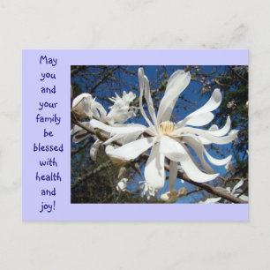 Tarjetas postales de flor de magnolia Tarjetas flo