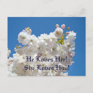 tarjetas postales de flores blancas que florecen S