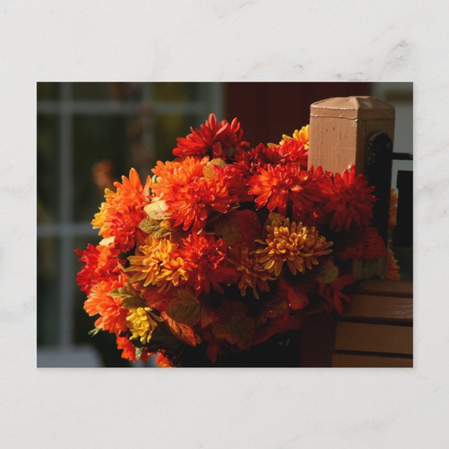 TARJETAS POSTALES DE FLORES DE CAÍDA (Anverso)