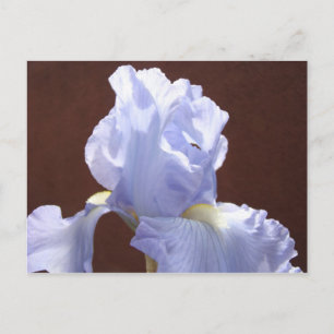 Tarjetas postales de flores Iris azules Agregar te