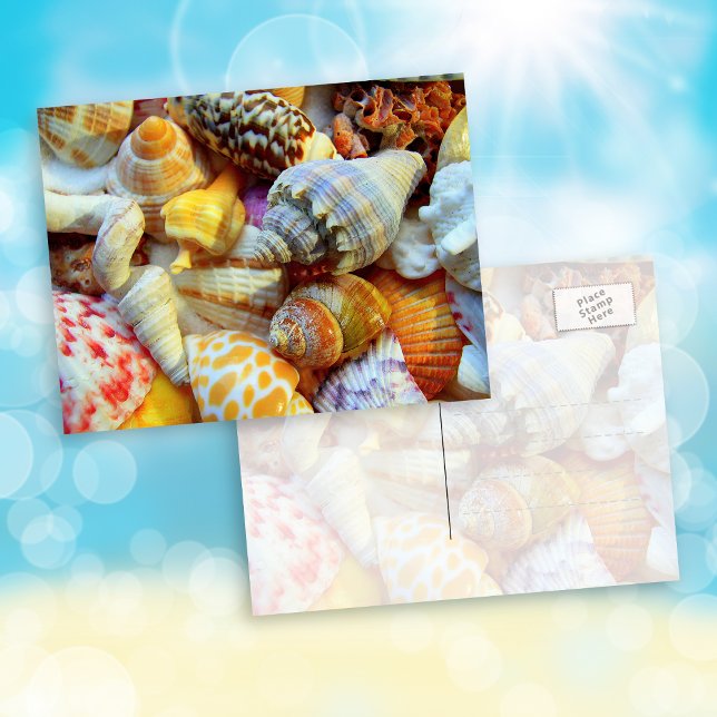 Tarjetas Postales de Fotografía de Caracoles Tropi (Subido por el creador)