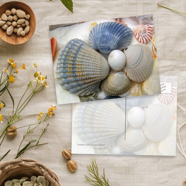 Tarjetas Postales de Fotografía de Conchas Azules (Subido por el creador)