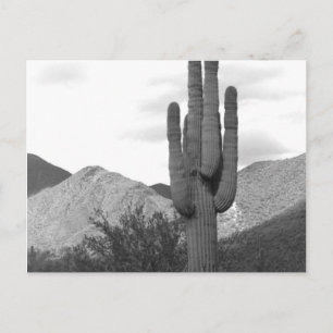 Tarjetas postales de fotos en blanco y negro del c