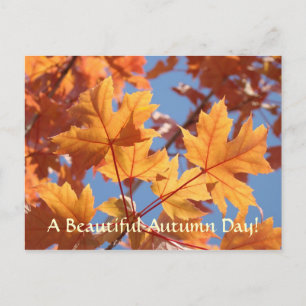 tarjetas postales de hojas de otoño Día de otoño h