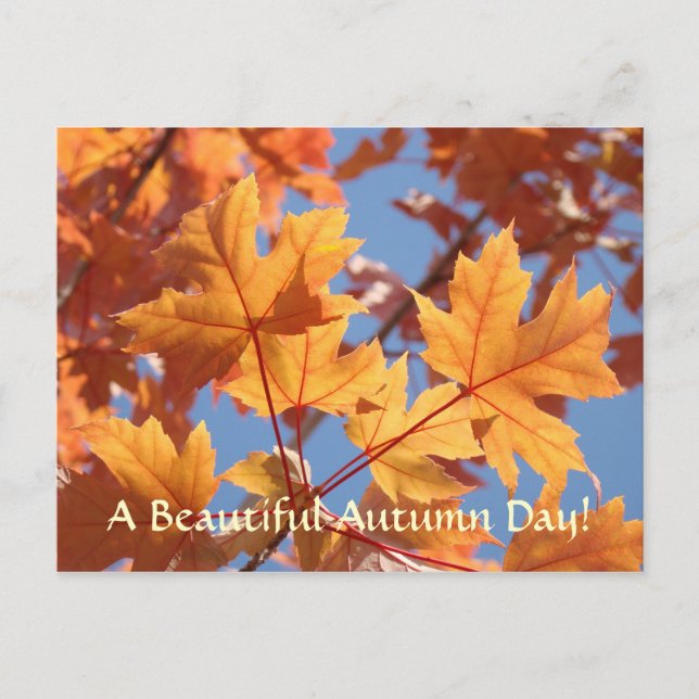 tarjetas postales de hojas de otoño Día de otoño h (Anverso)