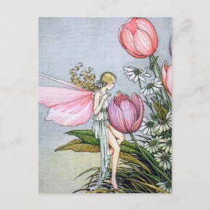 Tarjetas Postales de Ilustraciones Antiguas de Tul