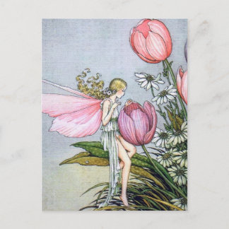 Tarjetas Postales de Ilustraciones Antiguas de Tul