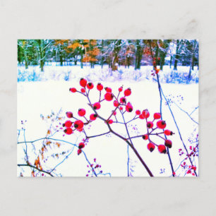 TARJETAS POSTALES DE INVIERNO DE BAYAS ROJAS