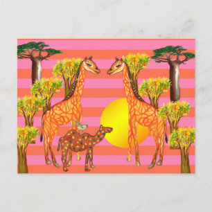 Tarjetas postales de jirafas, camellos y aves