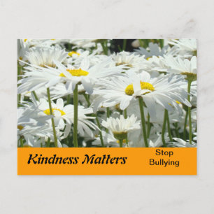 Tarjetas postales de Kindness Matters promoción pa