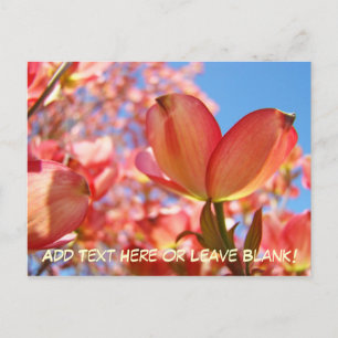 Tarjetas postales de la naturaleza Flores de Dobwo