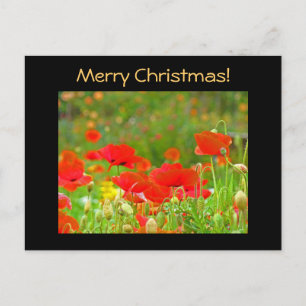 Tarjetas postales de Navidad Amapolas Rojas Prado