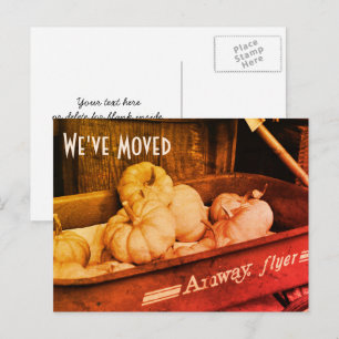 Tarjetas Postales De Nueva Dirección De Calabazas 