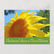 Tarjetas postales de nueva dirección Girasoles Mud