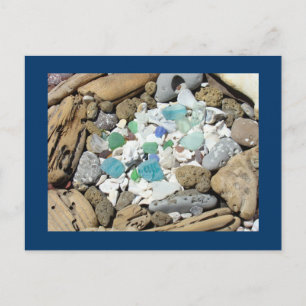 Tarjetas postales de Ocean Beach Driftwood Fósiles