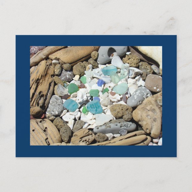 Tarjetas postales de Ocean Beach Driftwood Fósiles (Anverso)