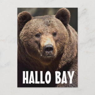 TARJETAS POSTALES DE OSO DE HALLO BAY GRIZZLY