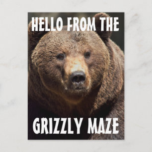 TARJETAS POSTALES DE OSO GRIZZLY MAZE GRIZZLY