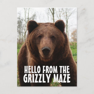 TARJETAS POSTALES DE OSO GRIZZLY MAZE GRIZZLY
