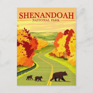 Tarjetas postales de osos en Shenandoah NP
