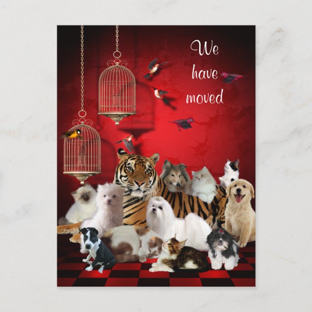 Tarjetas postales de pájaros y gatos y jaulas roja (Anverso)