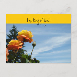 Tarjetas postales de Pensando en Ti Jardín de Rosa