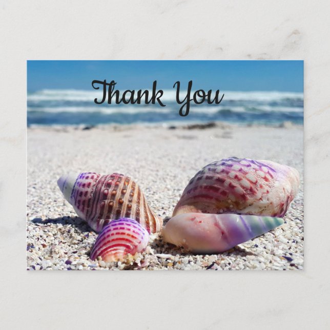 Tarjetas Postales de Playa Arenosa Conchas Marinas (Anverso)
