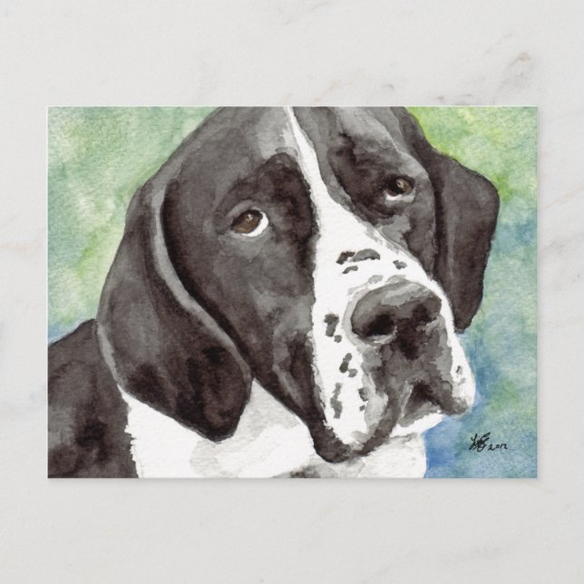 Tarjetas postales de Pointer (Anverso)
