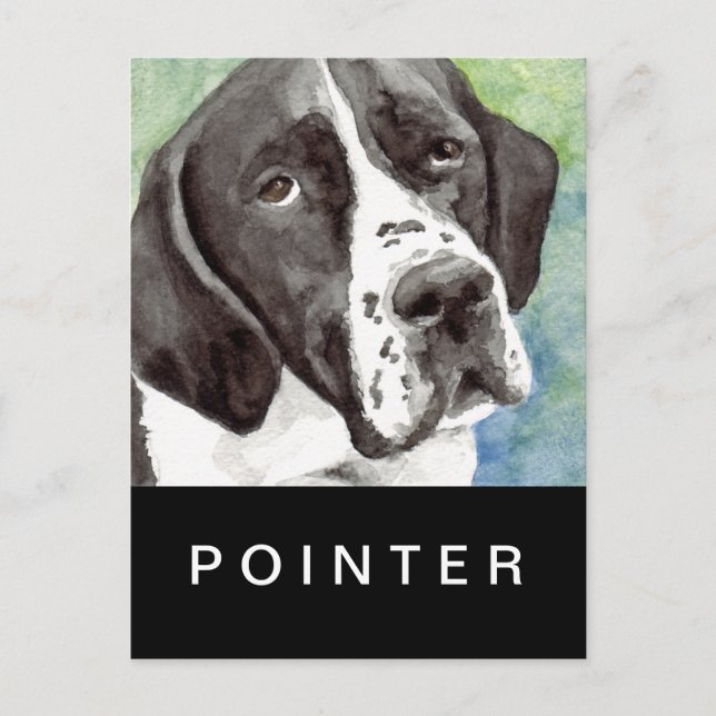 Tarjetas Postales de Pointer (Anverso)
