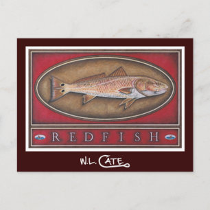 Tarjetas postales de Redfish