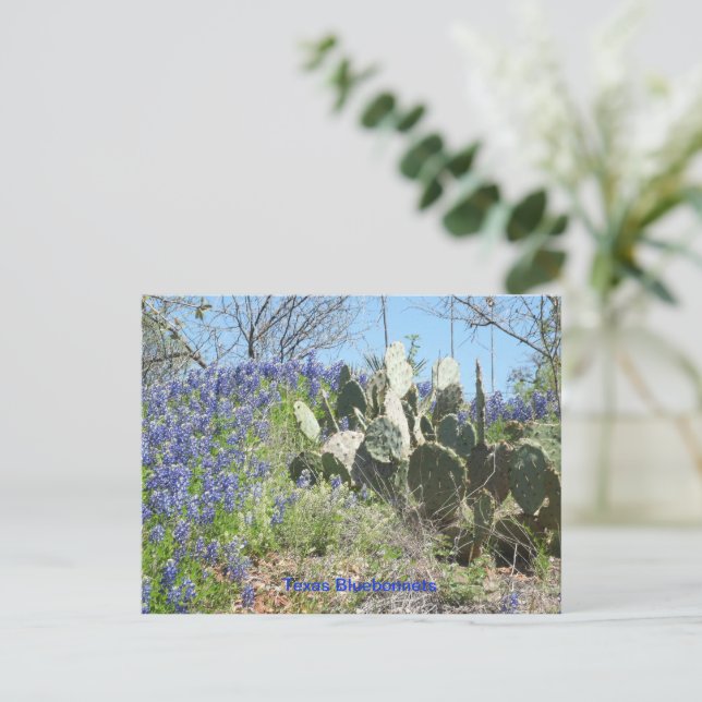 Tarjetas postales de Texas Bluebonnets y Cactus en (Anverso de pie)