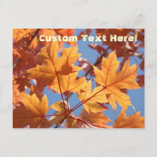 Tarjetas postales de texto personalizado de la nat