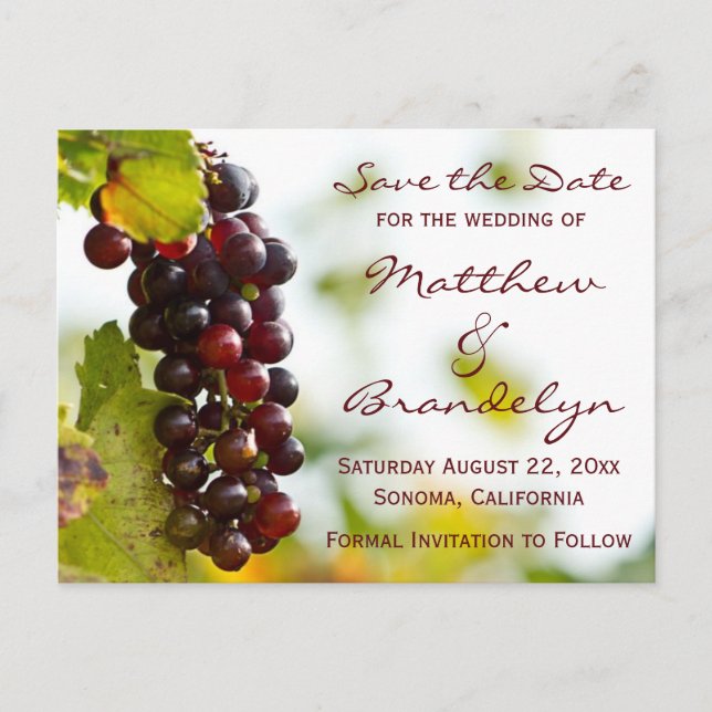 Tarjetas Postales de Uvas de Bodega Viñedo para Gu (Anverso)