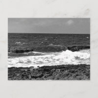 Tarjetas Postales Estándar en Blanco y Negro para