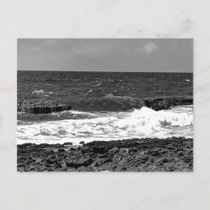 Tarjetas Postales Estándar en Blanco y Negro para 