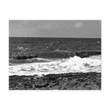 Tarjetas Postales Estándar en Blanco y Negro para