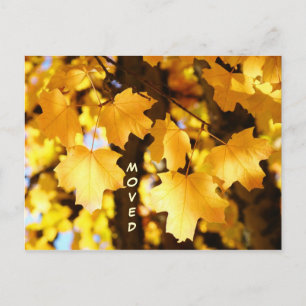 Tarjetas Postales Movidas Dirección Nueva de Mudan