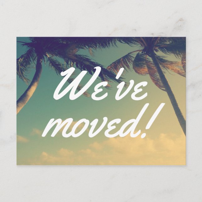 Tarjetas postales móviles con foto de palmera para (Anverso)