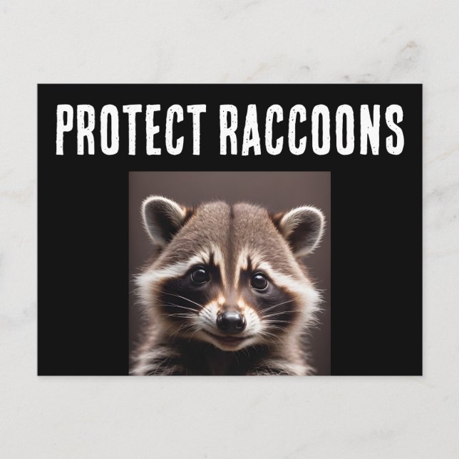 TARJETAS POSTALES PARA PROTEGER MAPACHES (Anverso)