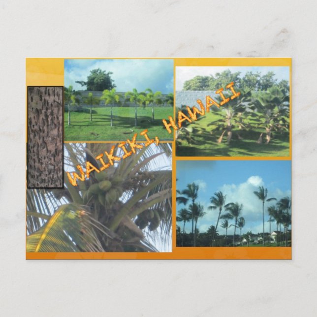 TARJETAS POSTALES PERSONALIZADAS- COLLAGE DE HAWAI (Anverso)