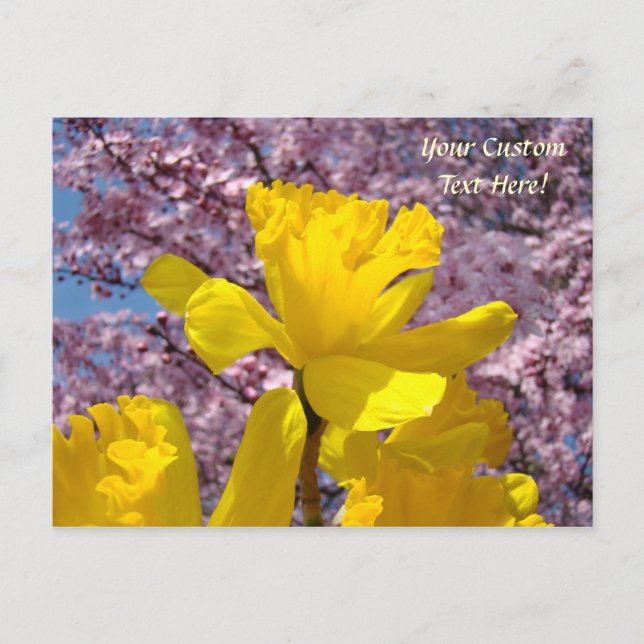 Tarjetas Postales Personalizadas Flores de Narciso (Anverso)